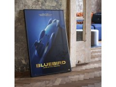 Automobilist Posters | Bluebird - Donald Campbell - 1964 | Collector´s Edition 9