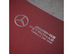 Automobilist Posters | Mercedes-AMG Petronas F1 Team - Lewis Hamilton - Bahrain - 2020 | Collector´s Edition 10