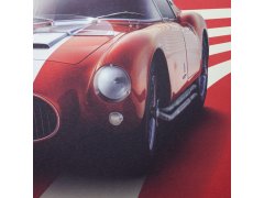Automobilist Posters | Maserati A6GCS Berlinetta - 1954 - Red | Limited Edition 6