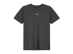 Formule 1 pánské tričko RDW Graphic black 2026